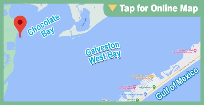 Chocolate Bay: Chocolate Bay Shoreline