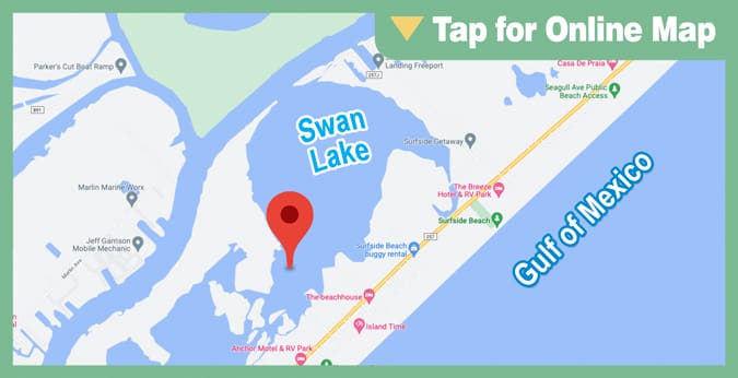 Freeport: Swan Lake