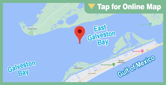 Galveston East Bay: Artificial Reef