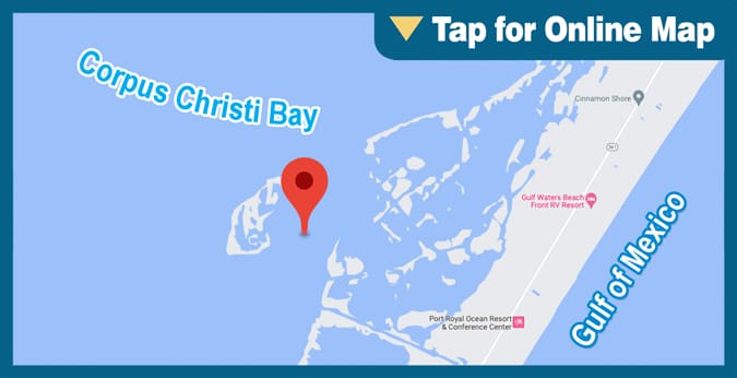 Corpus Christi Bay: Shamrock Cove