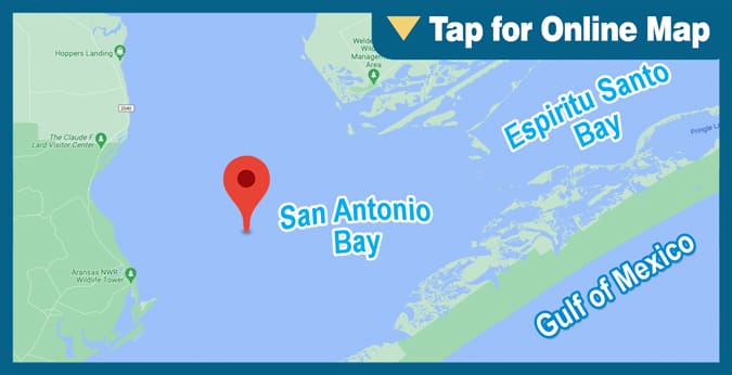 San Antonio Bay: Bird Island Reef