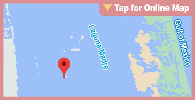 Lower Laguna Madre: Dubbs Island