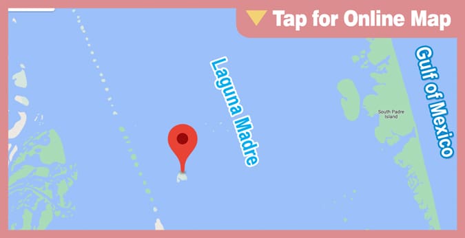 Lower Laguna Madre: Greens Island