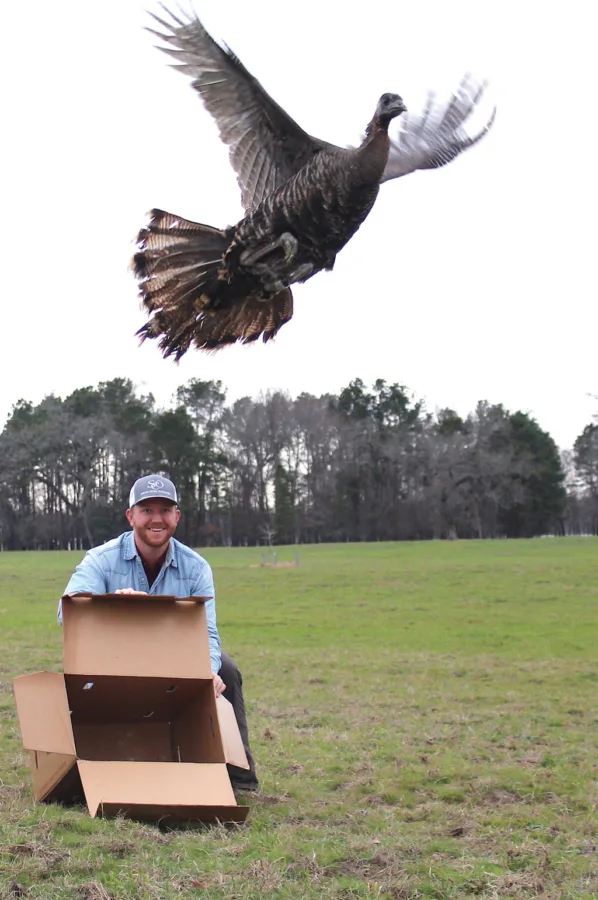 Wade Ledbetter of Spring Creek Outdoor releases a Rio Grande hen.