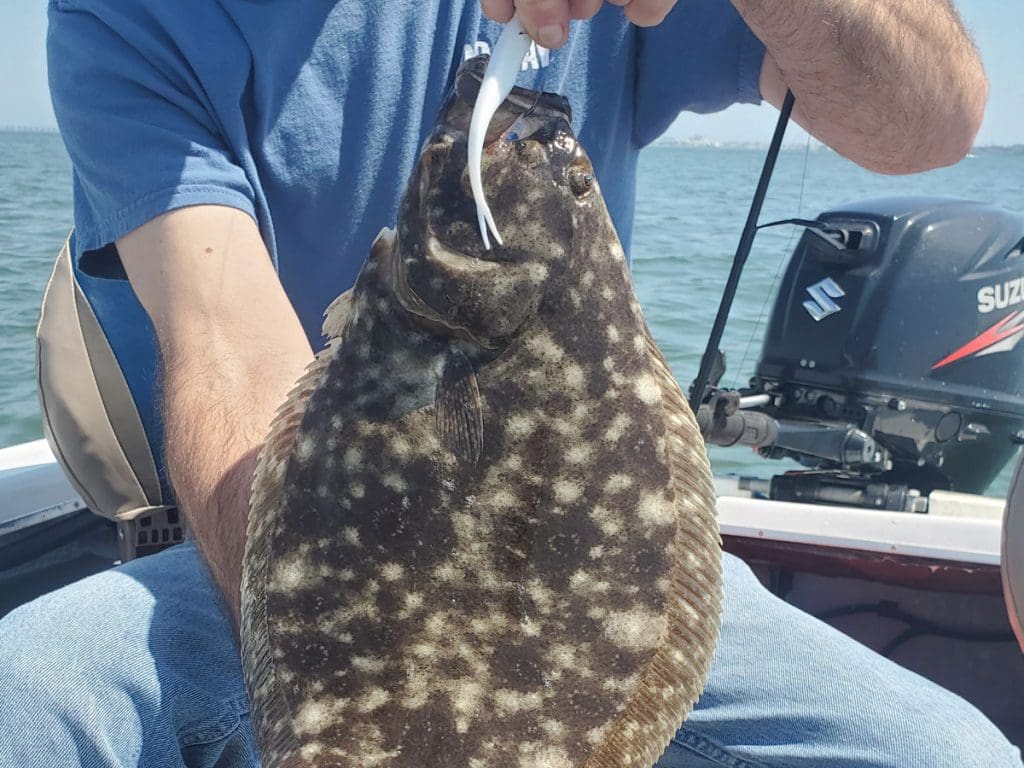 flounder on a jig