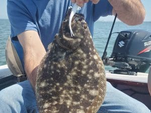 flounder on a jig