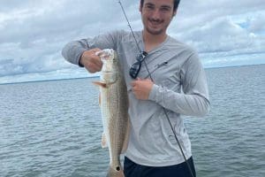 four inch paddletail