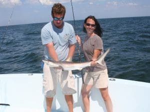 atlantic sharpnose shark