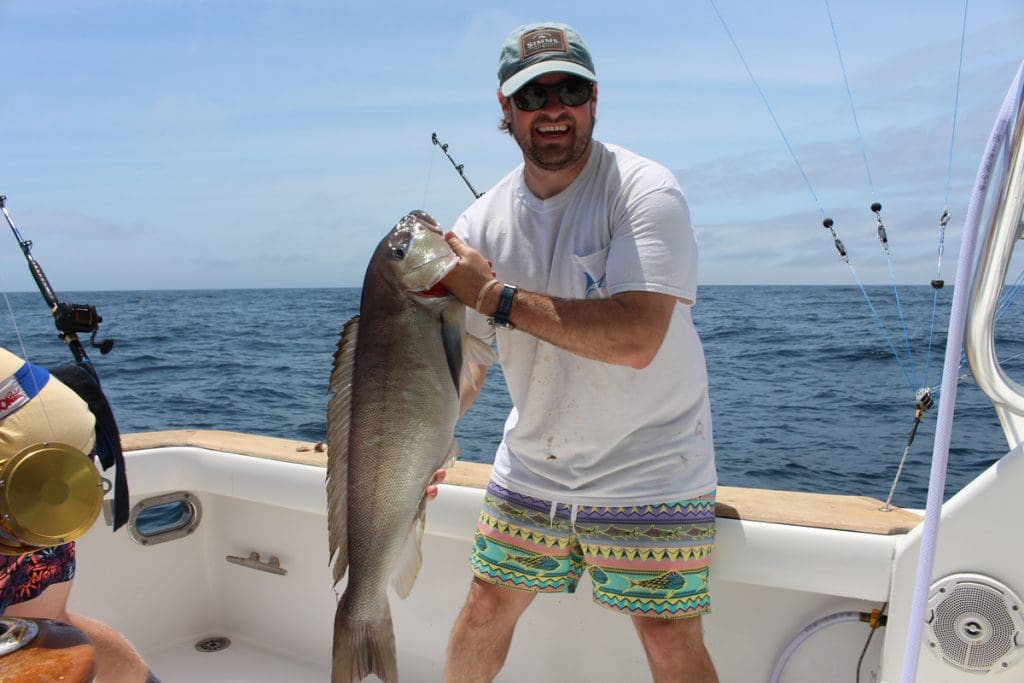 blueline tilefish