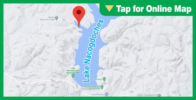 Lake Nacogdoches: IP Cove