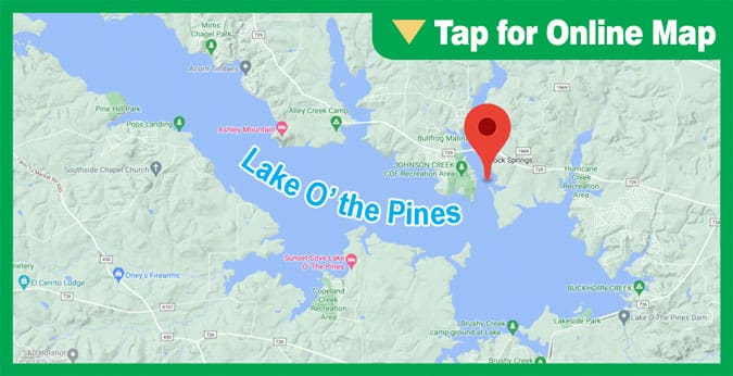Lake O the Pines: Johnson Creek