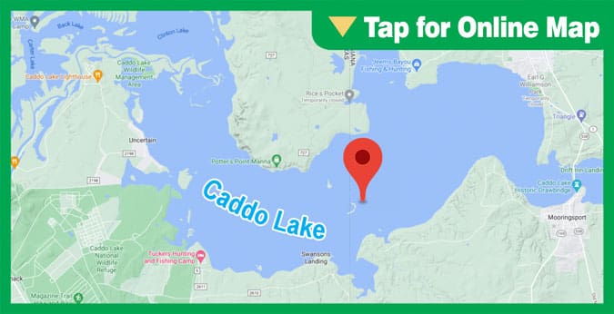 Caddo Lake: Big Cypress Bayou Cuts and Bends