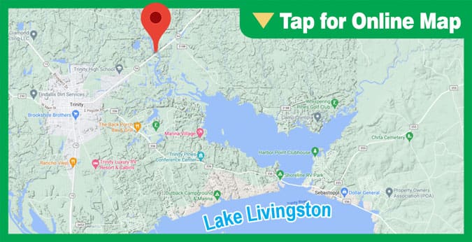 Lake Livingston: White Rock Creek