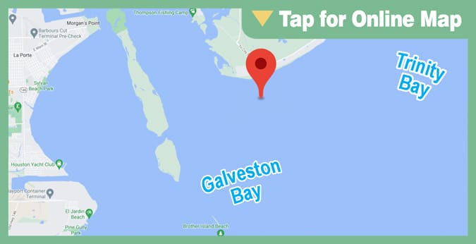 Galveston Trinity Bay: Dows Reef