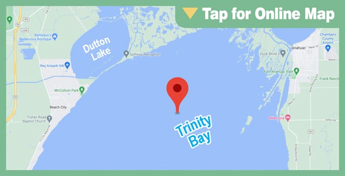 Galveston Bay: Jacks Pocket