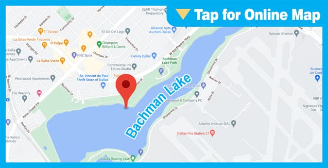 Bachman Lake: Main Lake