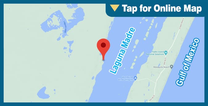 Upper Laguna Madre: King Ranch Shoreline