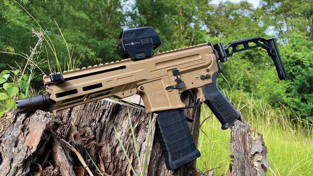 The Dissent is a modern PDW that allows for more compact storage with the addition of a folding stock