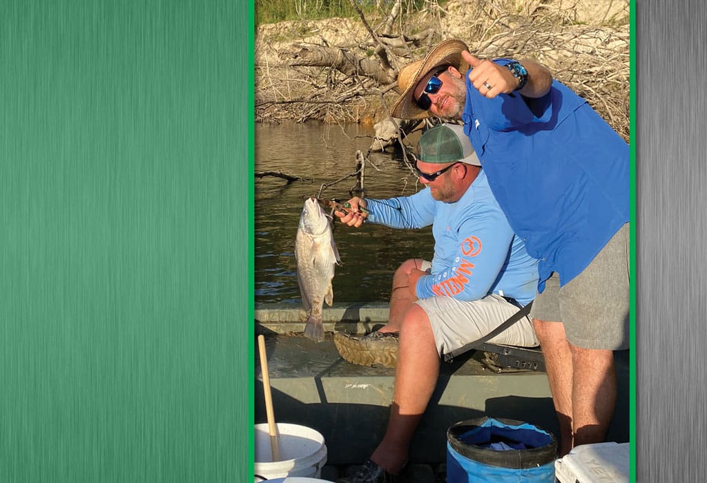 Freshwater drum, Grey Hammons