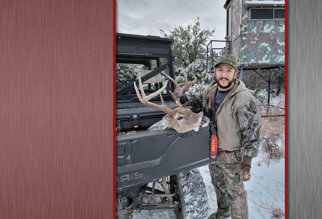 Whitetail, Mark Compton