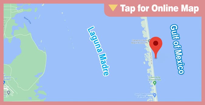 Lower Laguna Madre: Bowie Park