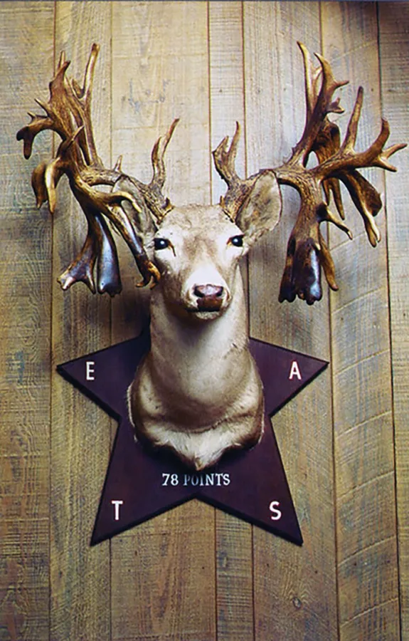 The Brady Buck