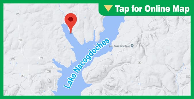 Lake Nacogdoches: Back of Yellowbank