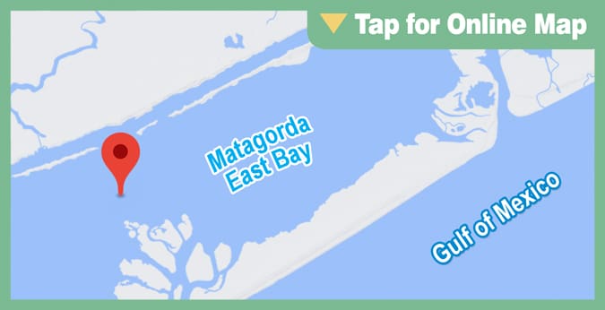 Matagorda East Bay: Brown Cedar Flats