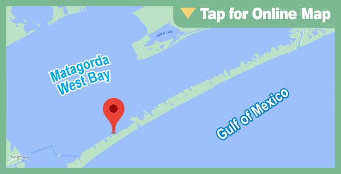 Matagorda West Bay: Peninsula Shoreline