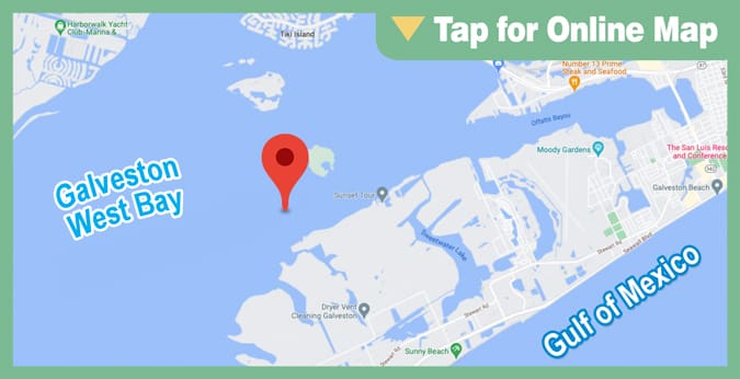 Galveston West Bay: Confederate Reef
