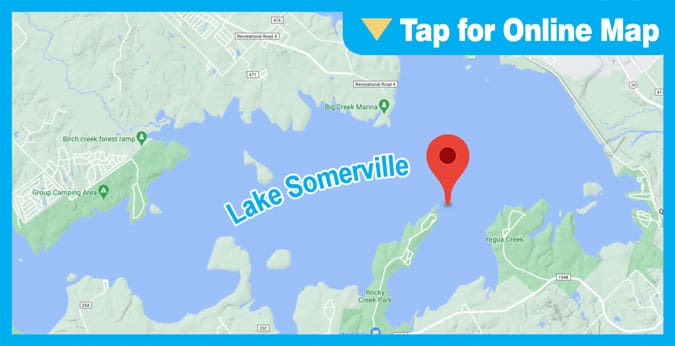 Lake Somerville: Rocky Creek Road Bed