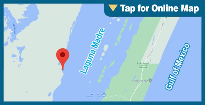 Upper Laguna Madre: King Ranch Shoreline