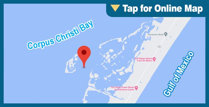 Corpus Christi Bay: Shamrock Cove