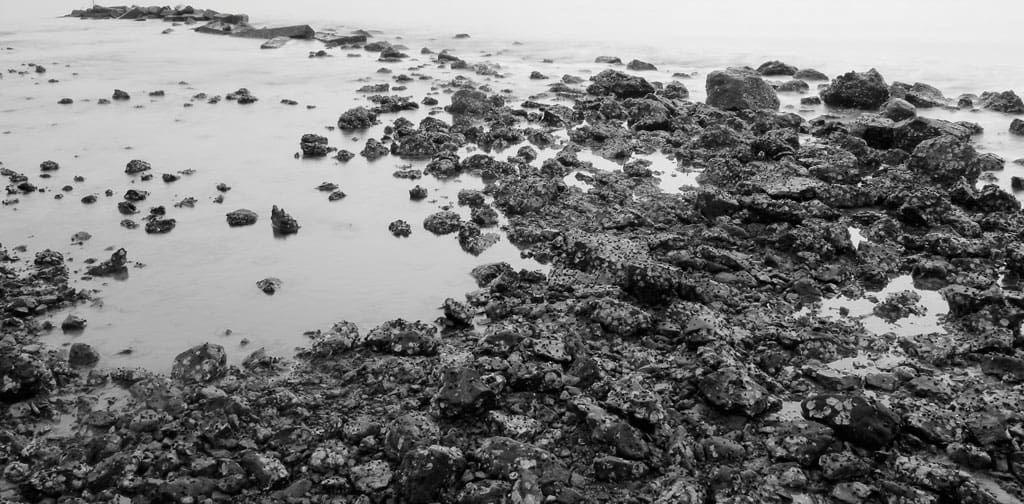 Oyster reef closures and other measures by TPWD aim to protect habitat in San Antonio, Ayres and Carlos Bays.