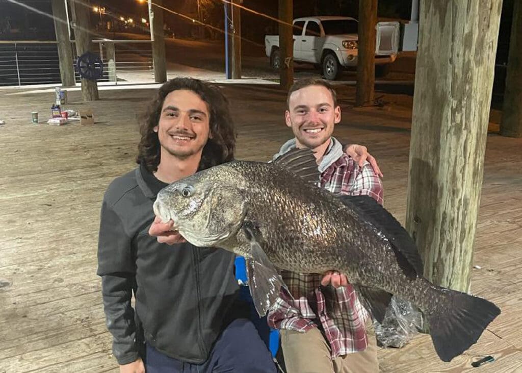night fishing for black drum