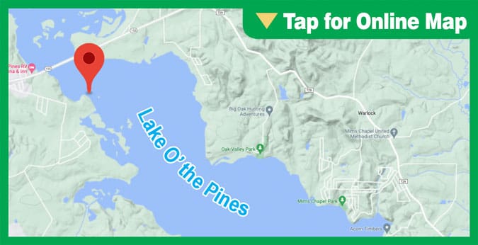 Lake O the Pines: Cedar Springs
