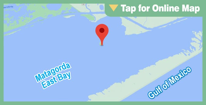Matagorda East Bay: Bird Island