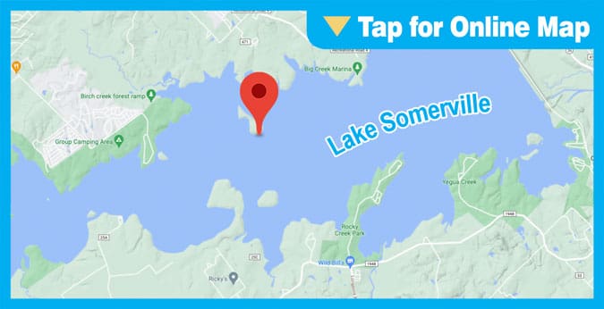 Lake Somerville: Snake Island