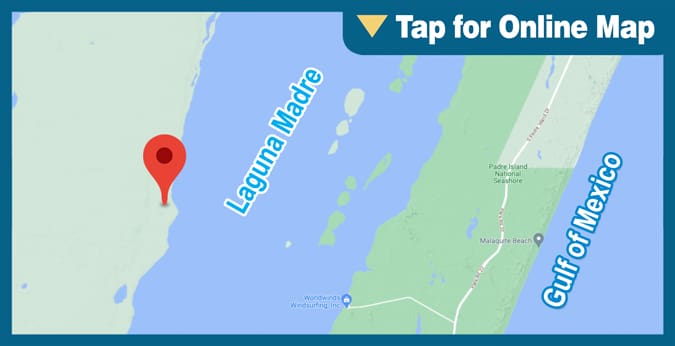 Upper Laguna Madre: King Ranch Shoreline