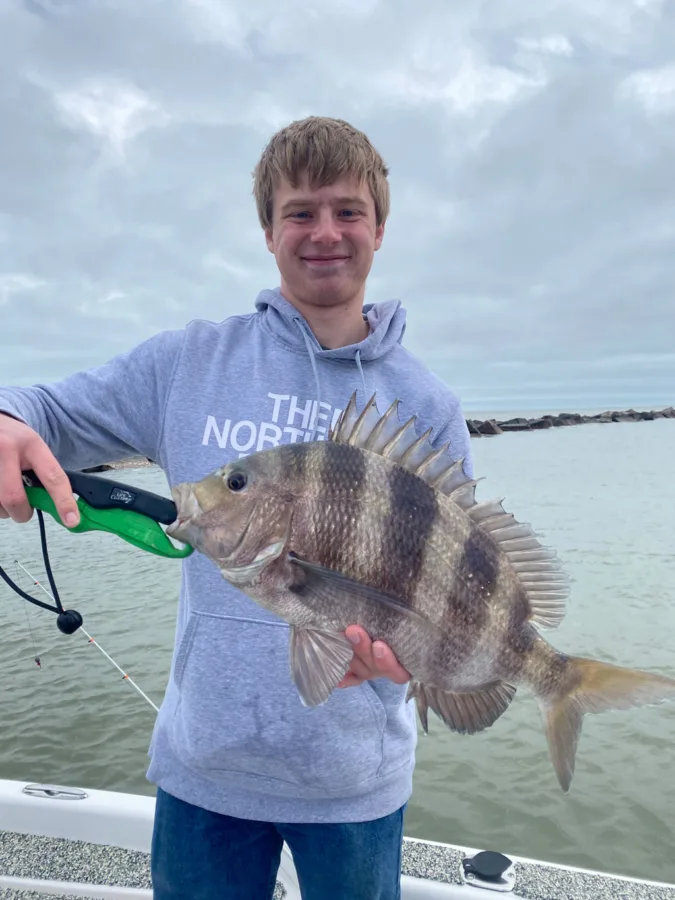 Sheepshead are often overlooked by anglers, yet are one of the best fish for the table.