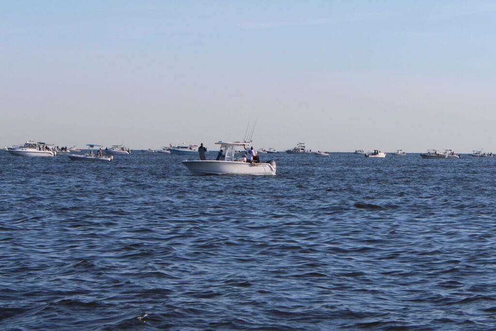 crowd of boats