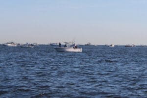 crowd of boats