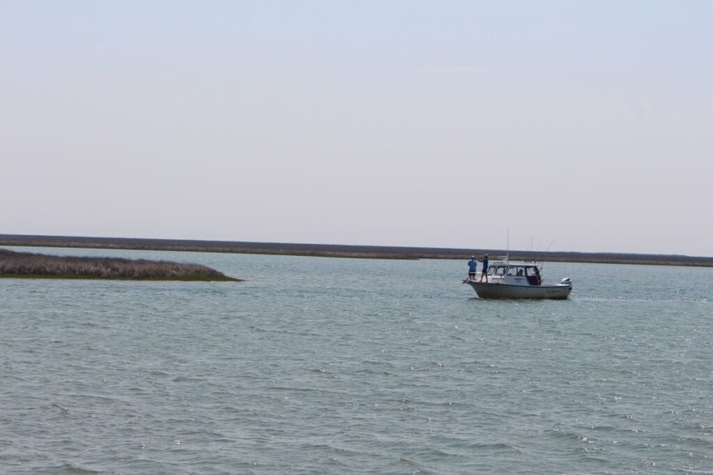 boat casting to marsh point