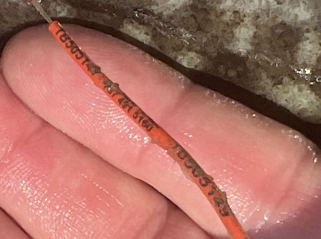 fish tag