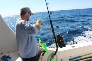 angler setting a daisy chain