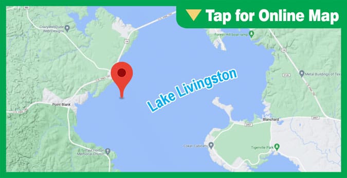 Lake Livingston: 190 Road Bed