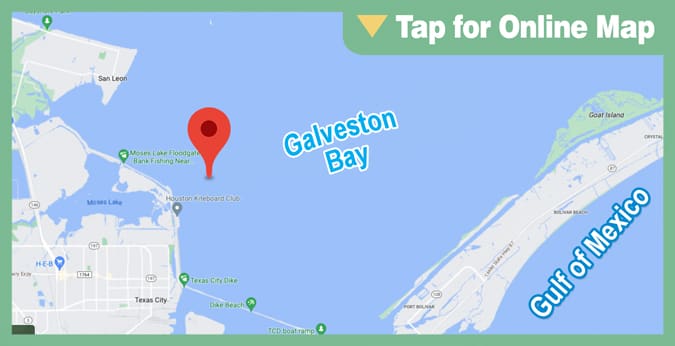 Galveston Trinity Bay: Dollar Reef