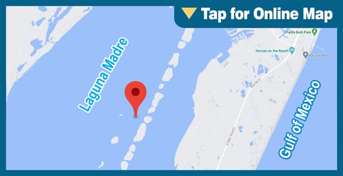 Upper Laguna Madre: Intracoastal Spoil Banks
