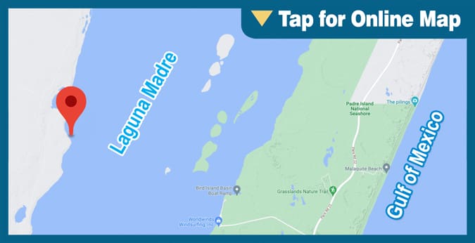 Upper Laguna Madre: King Ranch Shoreline