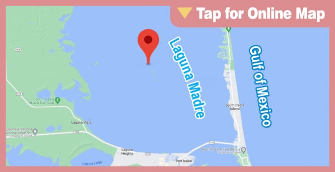 South Padre Island: Long Bar